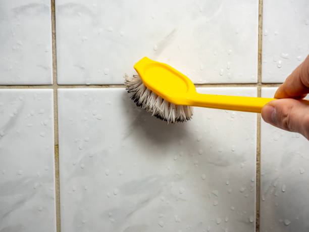 Best Mold Damage Repair  in Abaster, AL