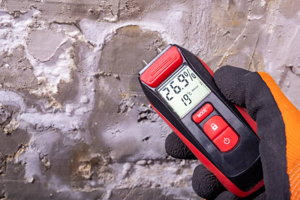 Best Mold Removal Company Near Me  in Abaster, AL